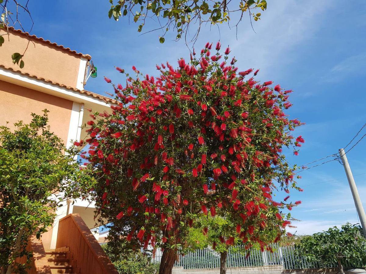 Villa Trappeto Life Sunset Exterior foto